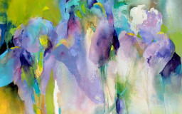 Iris Bleu Pacifique - Aquarelle